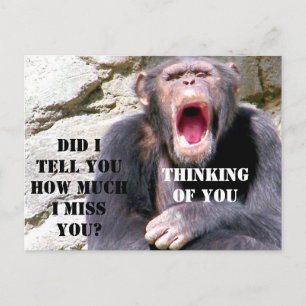 Chimpanzee_ Postcard