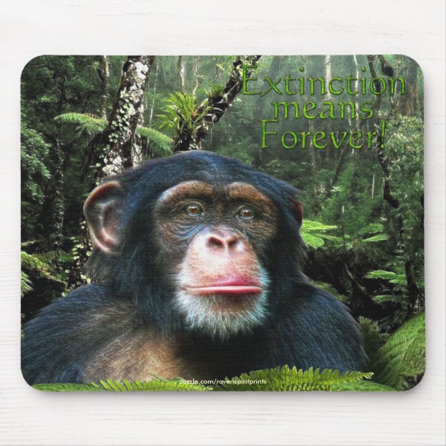 Chimpanzee & Rainforest Wildlife-support Mousepad (Front)
