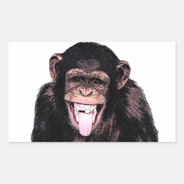 Chimpanzee Rectangular Sticker (Front)