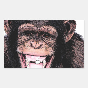 Chimpanzee Rectangular Sticker