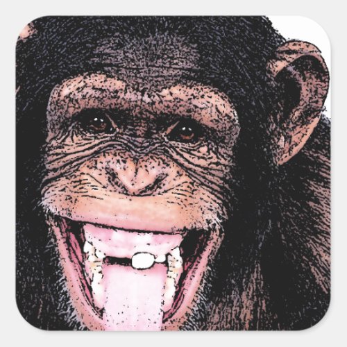 Chimpanzee Square Sticker