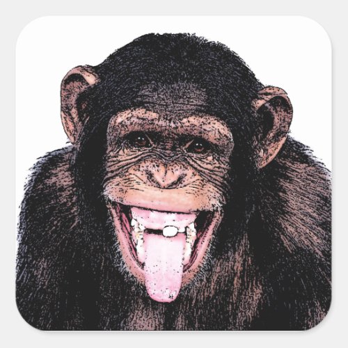 Chimpanzee Square Sticker