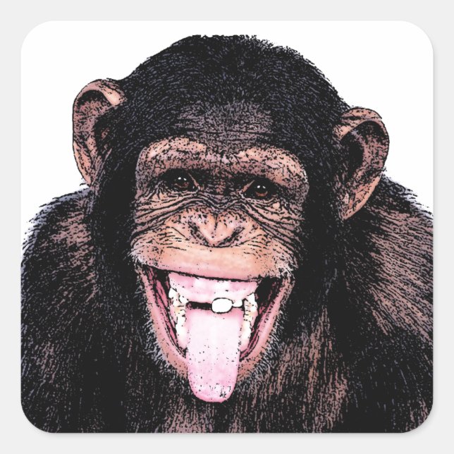 Chimpanzee Square Sticker (Front)