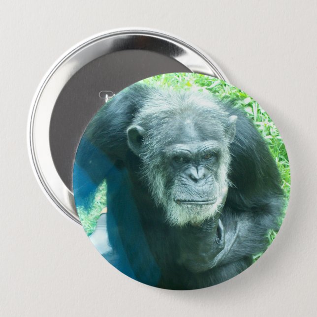 Chimpanzee Thinking Button (Front & Back)