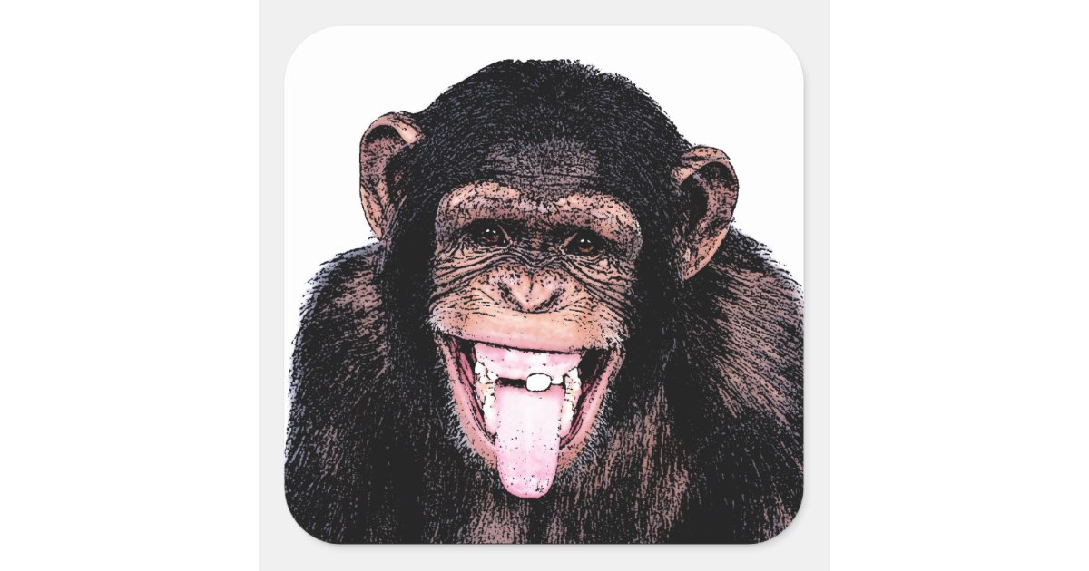 Chimpanzee Tongue Square Sticker | Zazzle