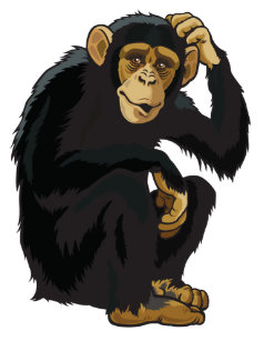chimpanzee hats caps zazzle