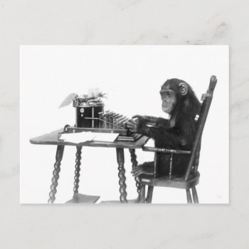 Chimpanzee Typing Postcard by HTMimages at Zazzle