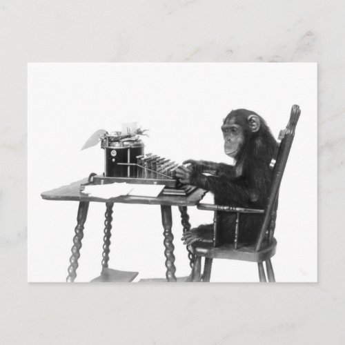 Chimpanzee typing postcard