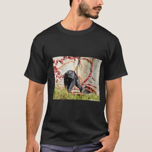 Chimpanzee walking on grass postcard square sticke T_Shirt