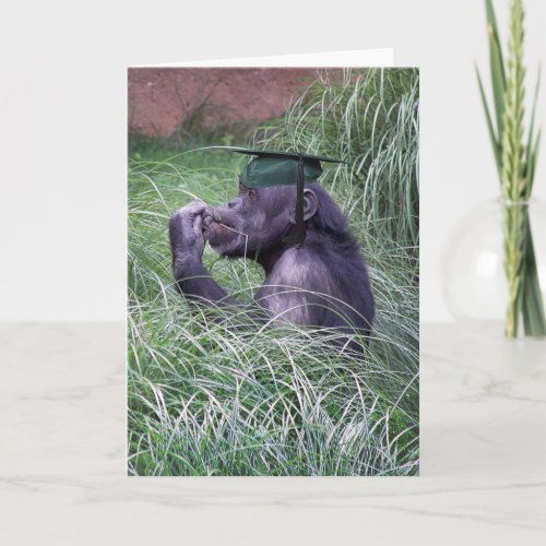 Chimpanzee with Green Graduation Cap Card