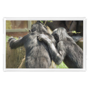 CHIMPANZEES ACRYLIC TRAY