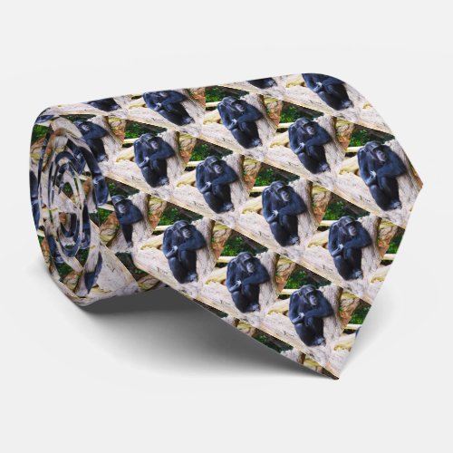 Chimpanzees at rest tie