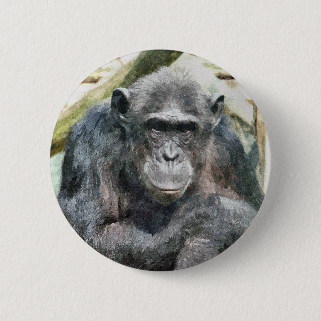 CHIMPANZEES BUTTON (Front)