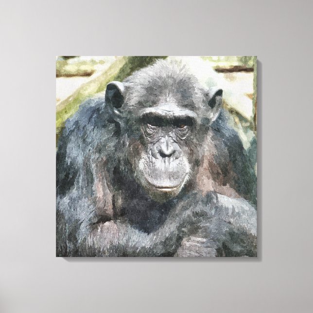 CHIMPANZEES CANVAS PRINT (Front)