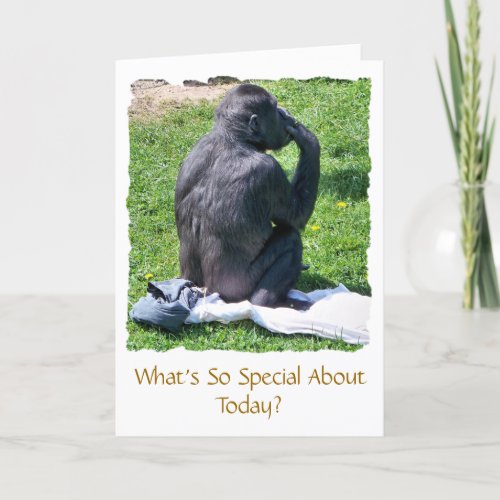 CHIMPANZEES CARD