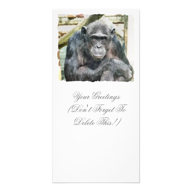 CHIMPANZEES CARD (Front)