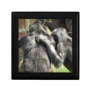 CHIMPANZEES GIFT BOX