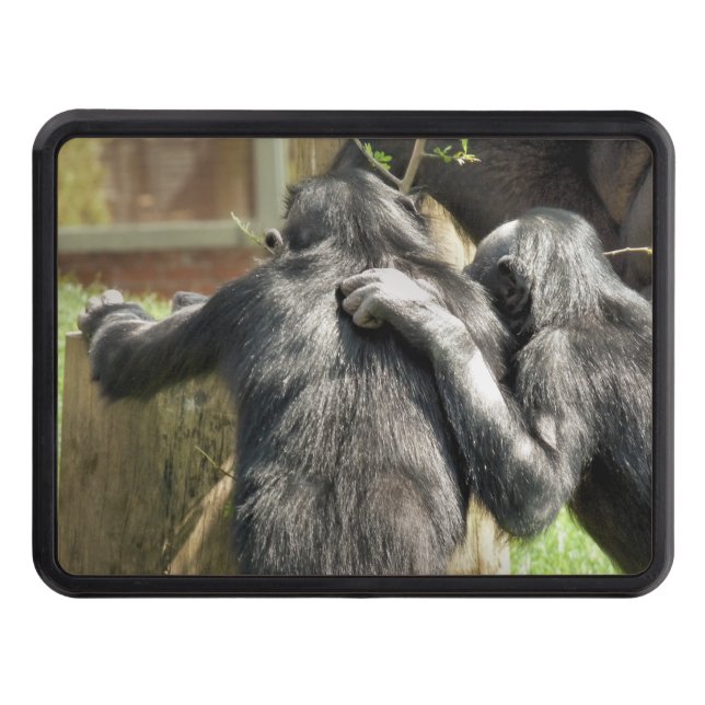 CHIMPANZEES   HITCH COVER (Front)