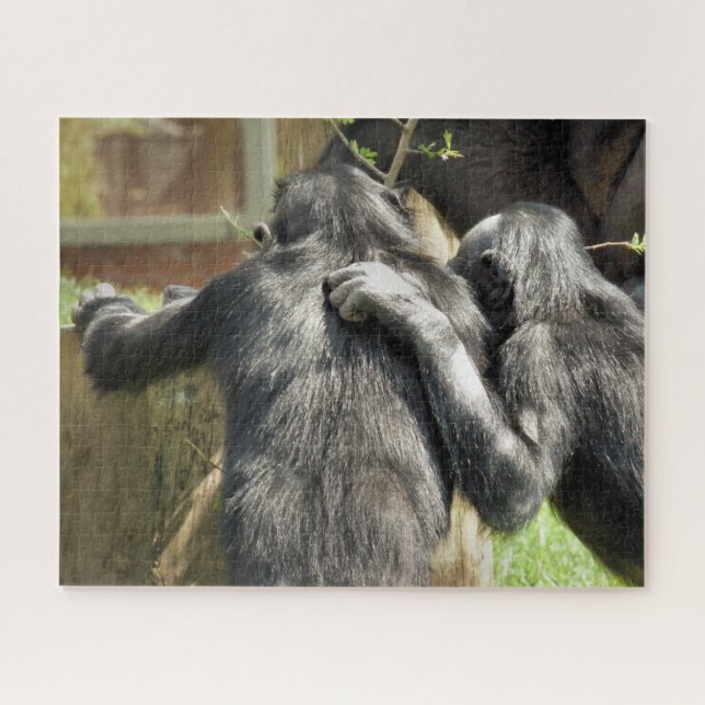 CHIMPANZEES  JIGSAW PUZZLE (Horizontal)