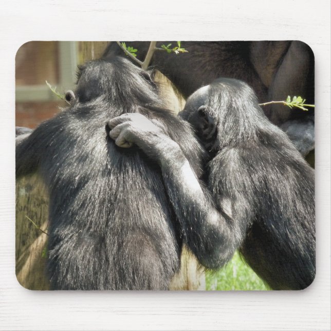 CHIMPANZEES   MOUSE PAD (Front)