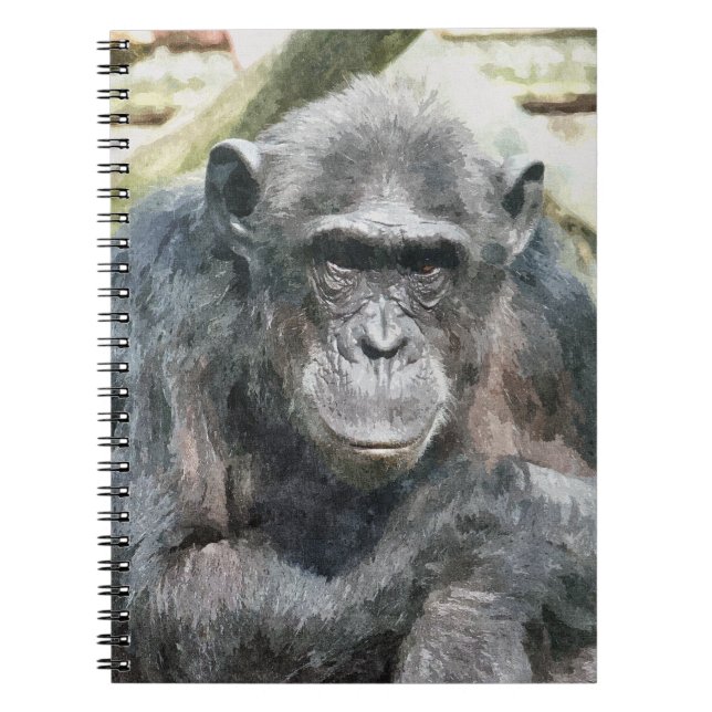 CHIMPANZEES NOTEBOOK (Front)