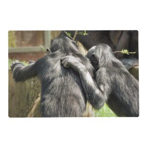 CHIMPANZEES PLACEMAT