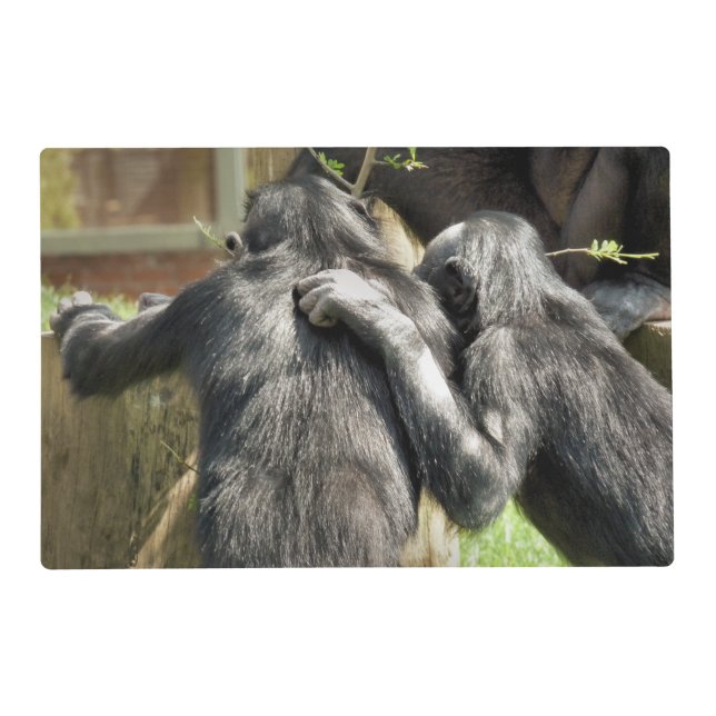 CHIMPANZEES    PLACEMAT (Front)