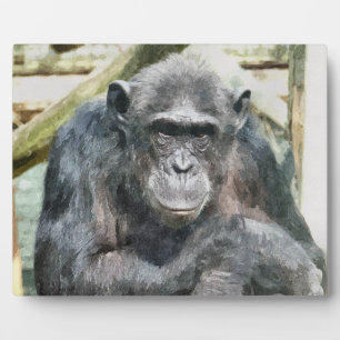 CHIMPANZEES PLAQUE