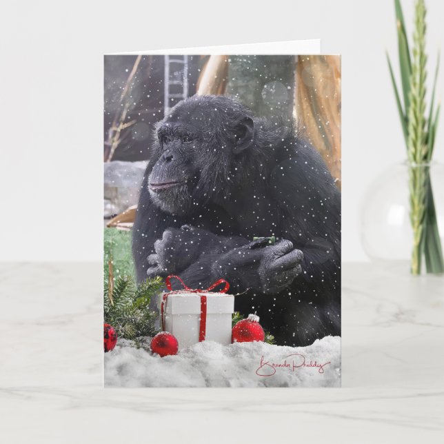 Chimpanzees with Christmas Joy! 5x7 Blank Card (Front)