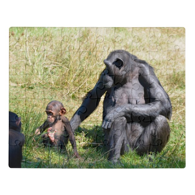 Chimpanzees with her baby sitting on grass  jigsaw puzzle (Puzzle Horizontal)