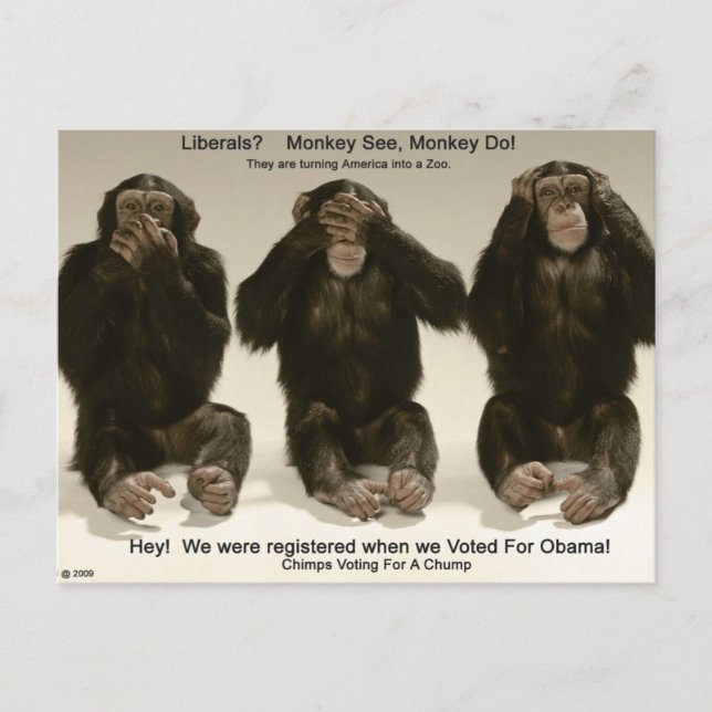 Chimps For A Chump Postcard (Front)