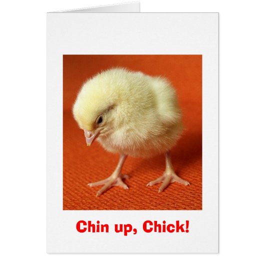 Chin up, Chick! Cards (Front)