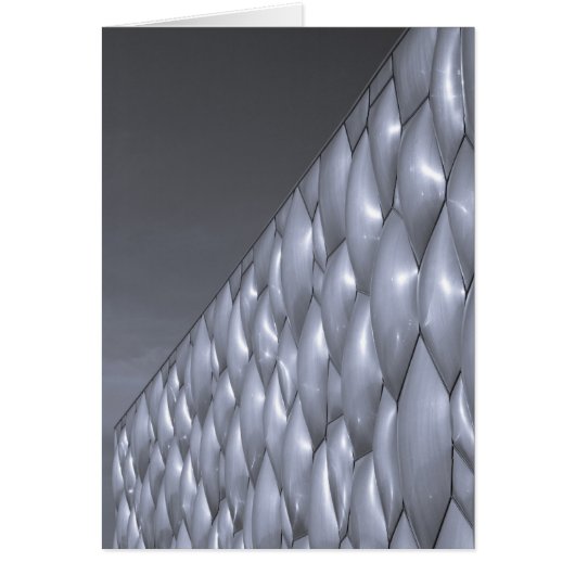 China, Beijing. National Aquatics Center (Front)