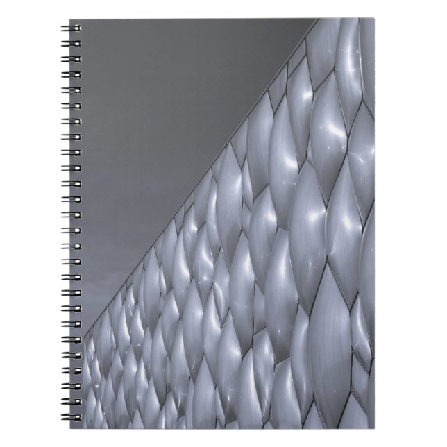 China, Beijing. National Aquatics Center Notebook (Front)