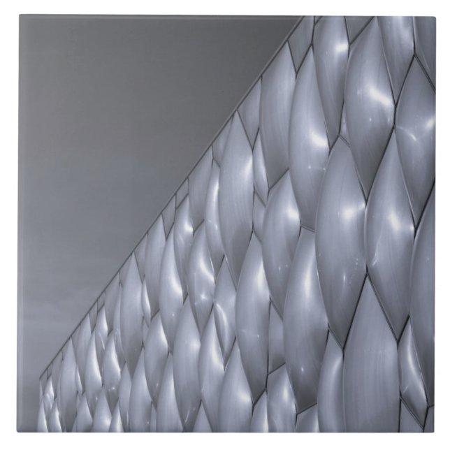 China, Beijing. National Aquatics Center Tile (Front)