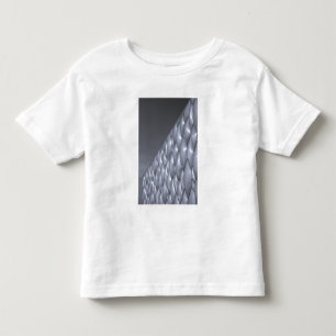 China, Beijing. National Aquatics Center Toddler T-shirt