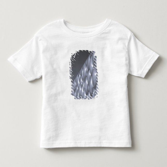 China, Beijing. National Aquatics Center Toddler T-shirt (Front)