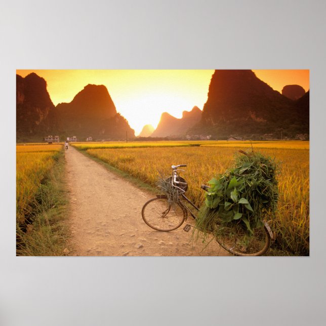 China, Guangxi. Yangzhou, Bicycle on country Poster (Front)