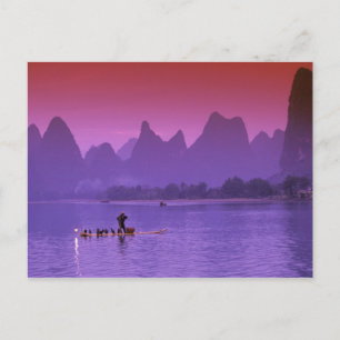 China, Guanxi. Li river single cormorant Postcard