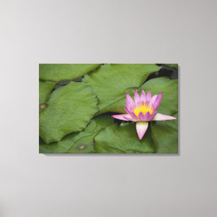 China, Hong Kong, New Territories. Chi Lin Canvas Print