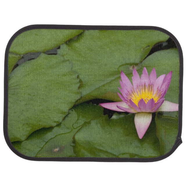 China, Hong Kong, New Territories. Chi Lin Car Floor Mat (Rear)