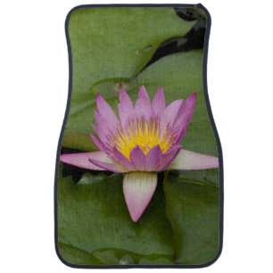 China, Hong Kong, New Territories. Chi Lin Car Floor Mat