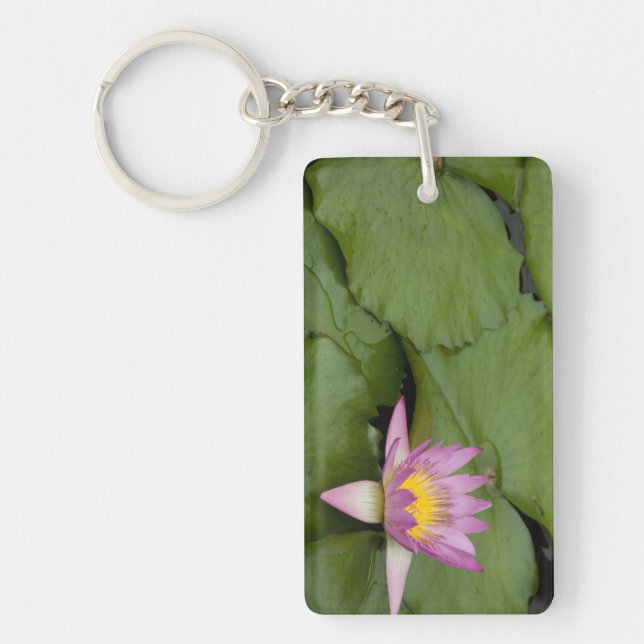 China, Hong Kong, New Territories. Chi Lin Keychain (Front)