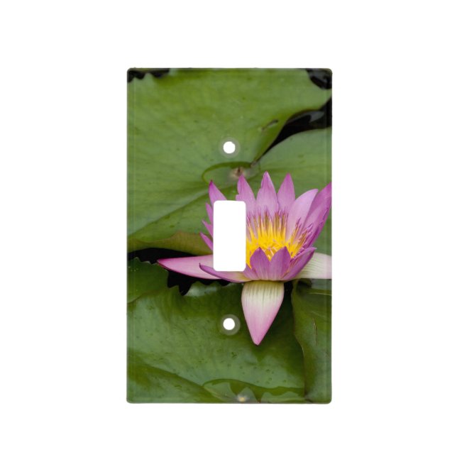 China, Hong Kong, New Territories. Chi Lin Light Switch Cover (Front)