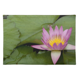 China, Hong Kong, New Territories. Chi Lin Placemat