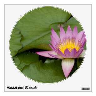 China, Hong Kong, New Territories. Chi Lin Wall Decal