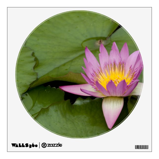 China, Hong Kong, New Territories. Chi Lin Wall Decal (Front)