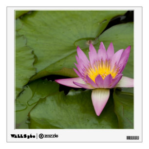 China, Hong Kong, New Territories. Chi Lin Wall Sticker