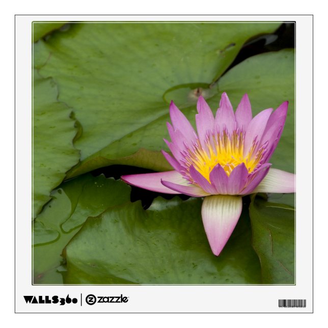 China, Hong Kong, New Territories. Chi Lin Wall Sticker (Front)