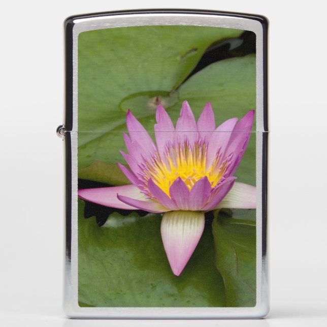 China, Hong Kong, New Territories. Chi Lin Zippo Lighter (Front)